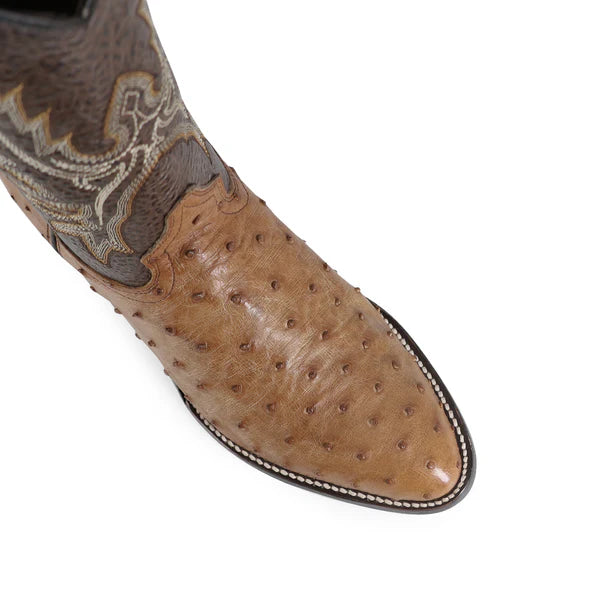 Bota Vaquera Oval Avestruz Coñac